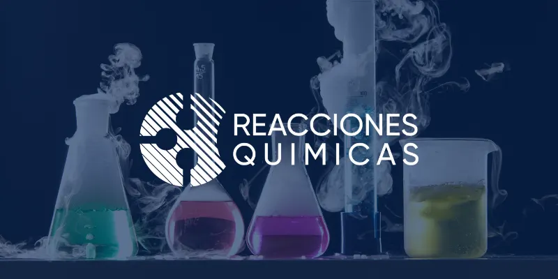 Reacciones Químicas case study