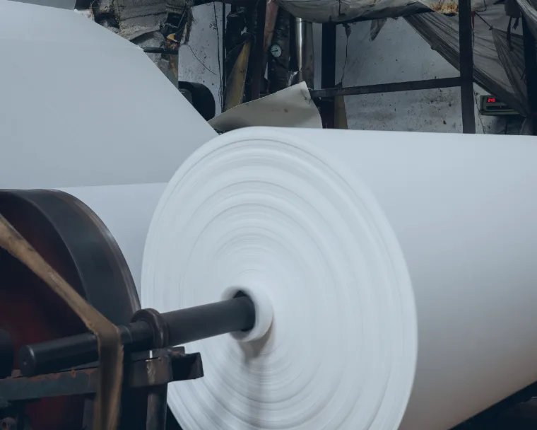 Rolls of paper moving representing the paper industry