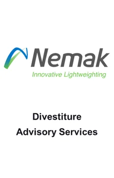 Nemak divestiture advisory services — M&A advisory by Seale & Associates