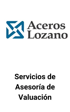 Seale Asesoró a Aceros Lozano en Servicios de Valuación &mdash; asesoría M&A de Seale & Associates