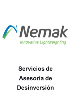 Nemak servicios de asesoría en desinversión — asesoría M&A de Seale & Associates
