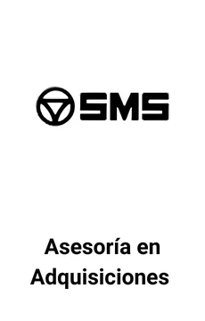 Seale Asesoró a SMS Holding en Adquisición de Empresas — asesoría M&A de Seale & Associates