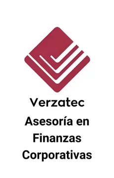 Seale Asesoró a Verzatec en Alternativas Estratégicas &mdash; asesoría M&A de Seale & Associates