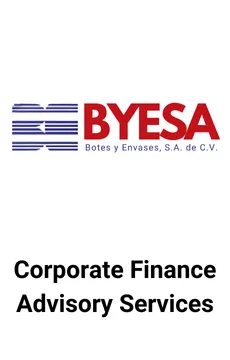 Seale Advised BYESA on Corporate Finance Advisory Services &mdash; M&A advisory by Seale & Associates