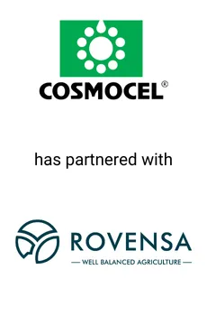 Seale Advised Cosmocel on its Partnership with Rovensa &mdash; M&A advisory by Seale & Associates