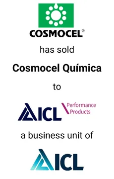 Seale Advised Cosmocel on the Divestiture of Cosmocel Química &mdash; M&A advisory by Seale & Associates